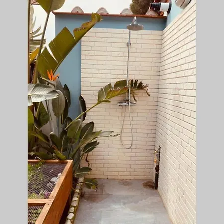 Viareggina Con Giardino Apartment