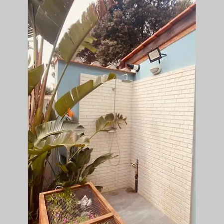 Viareggina Con Giardino דירה *
