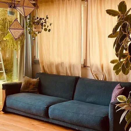 Viareggina Con Giardino *