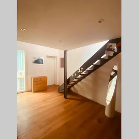 Viareggina Con Giardino Apartment
